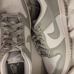 Brand New Nike Dunks