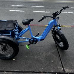 Electric Trike Priced To Dell Fast
