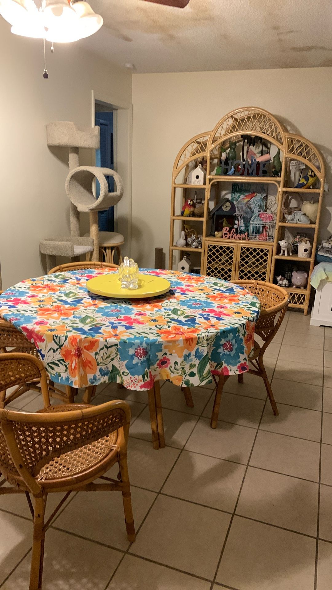Rattan Dining Room Set