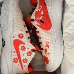 Lebron XX 20 Ceremony  Size 12.5 