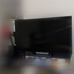 Sony 65” TV – Turns On, No Picture – Selling It For Partsne
