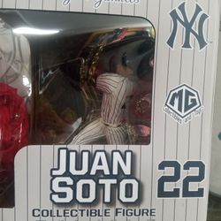 Juan Soto 