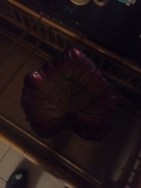 Glass Leaf