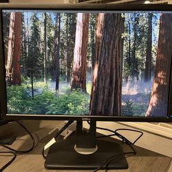 Dell Monitor 24”