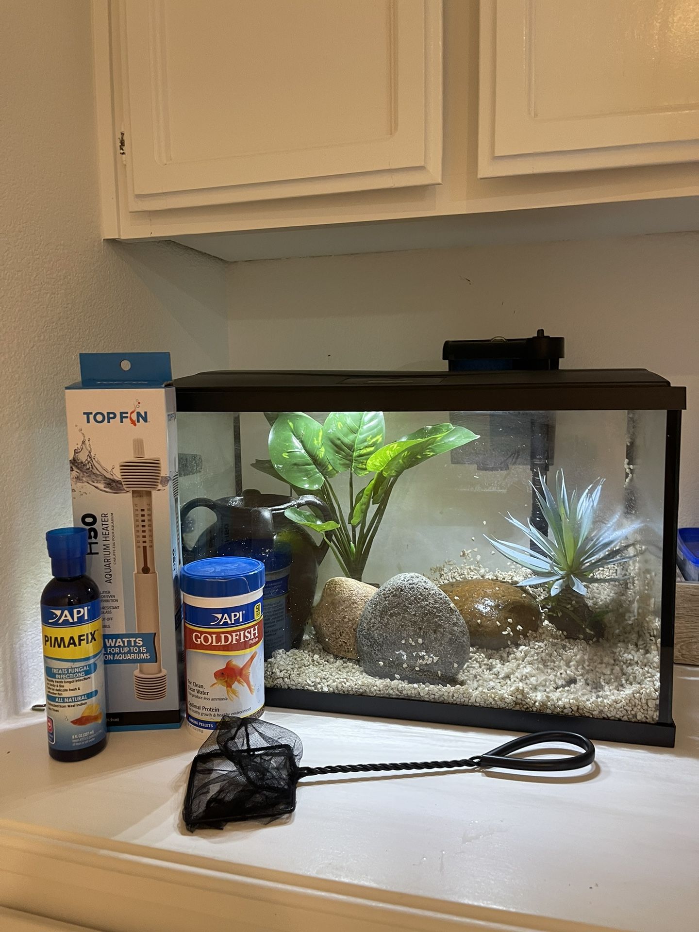 Fish Tank