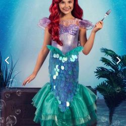 little mermaid girl youth size XL or (14-16) used once