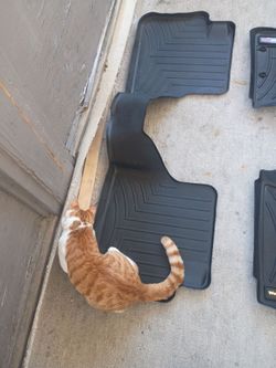 Wether tech floor mats