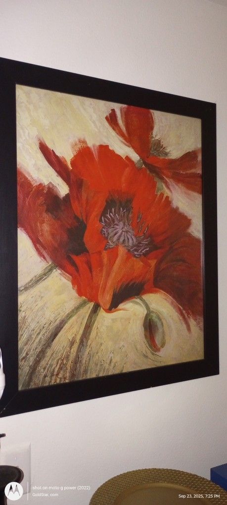 Framed Floral Print Large Wall