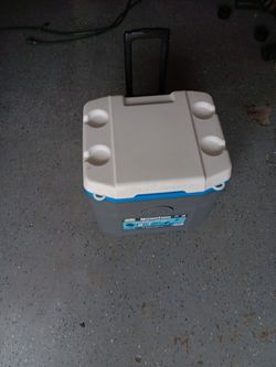 Igloo Cooler