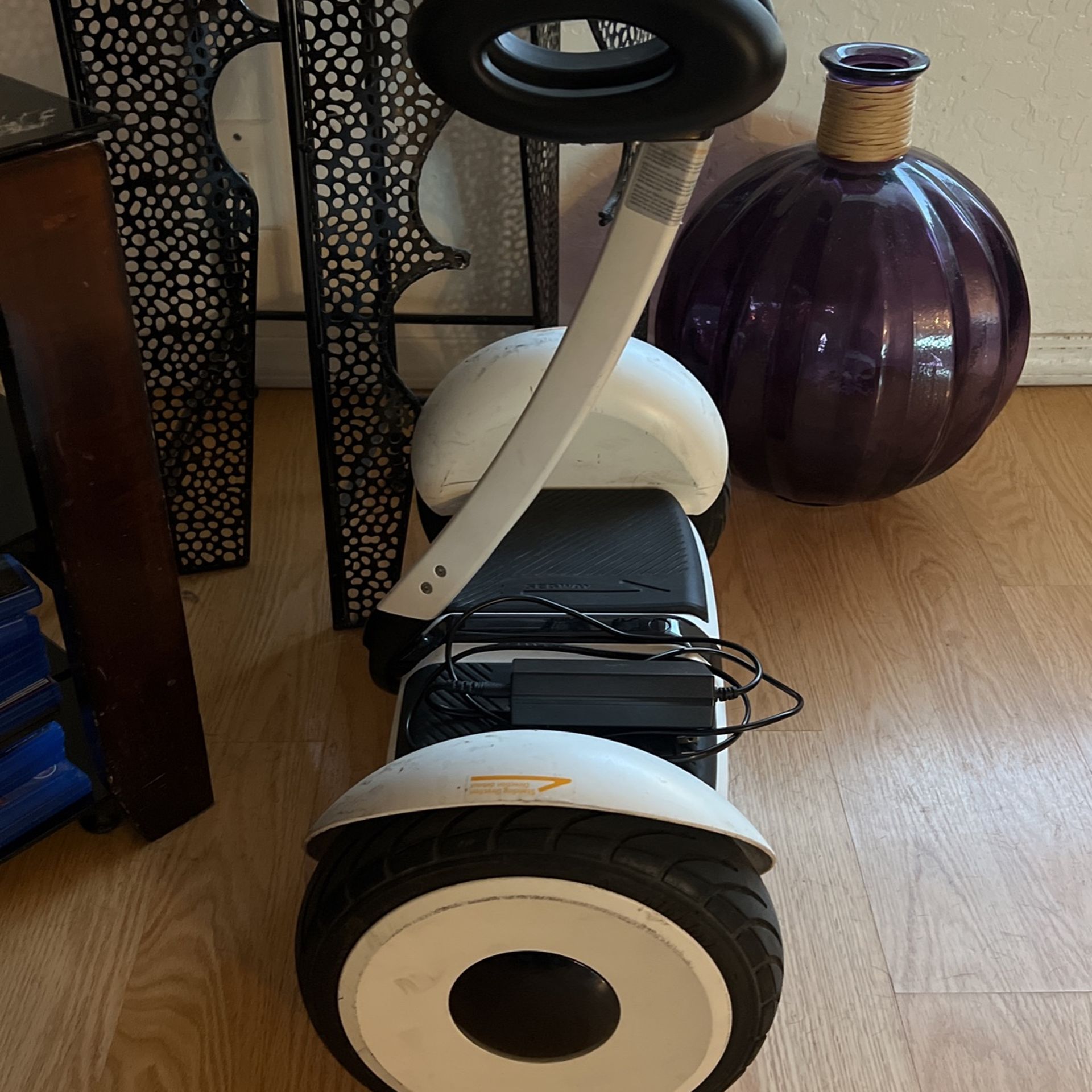 Ninebot S Electric Balance Scooter