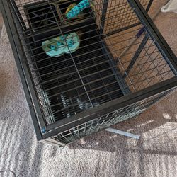 Dog Crate