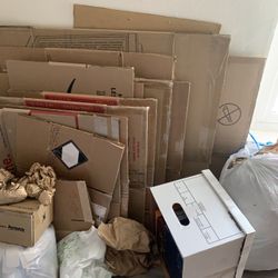 Sturdy Boxes & Packing