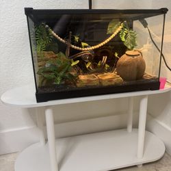 Thrive Reptile Tank + white table - Great for Lizards