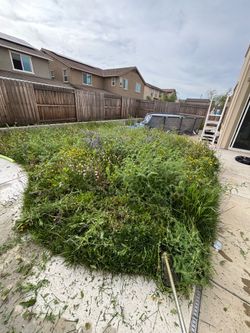 Tall Weed Weedwacker