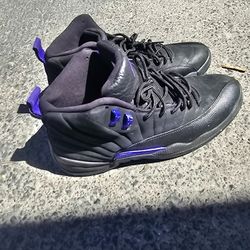 Jordan 12