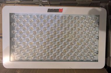 PlatinumLED P450 grow lights - 2 phase
