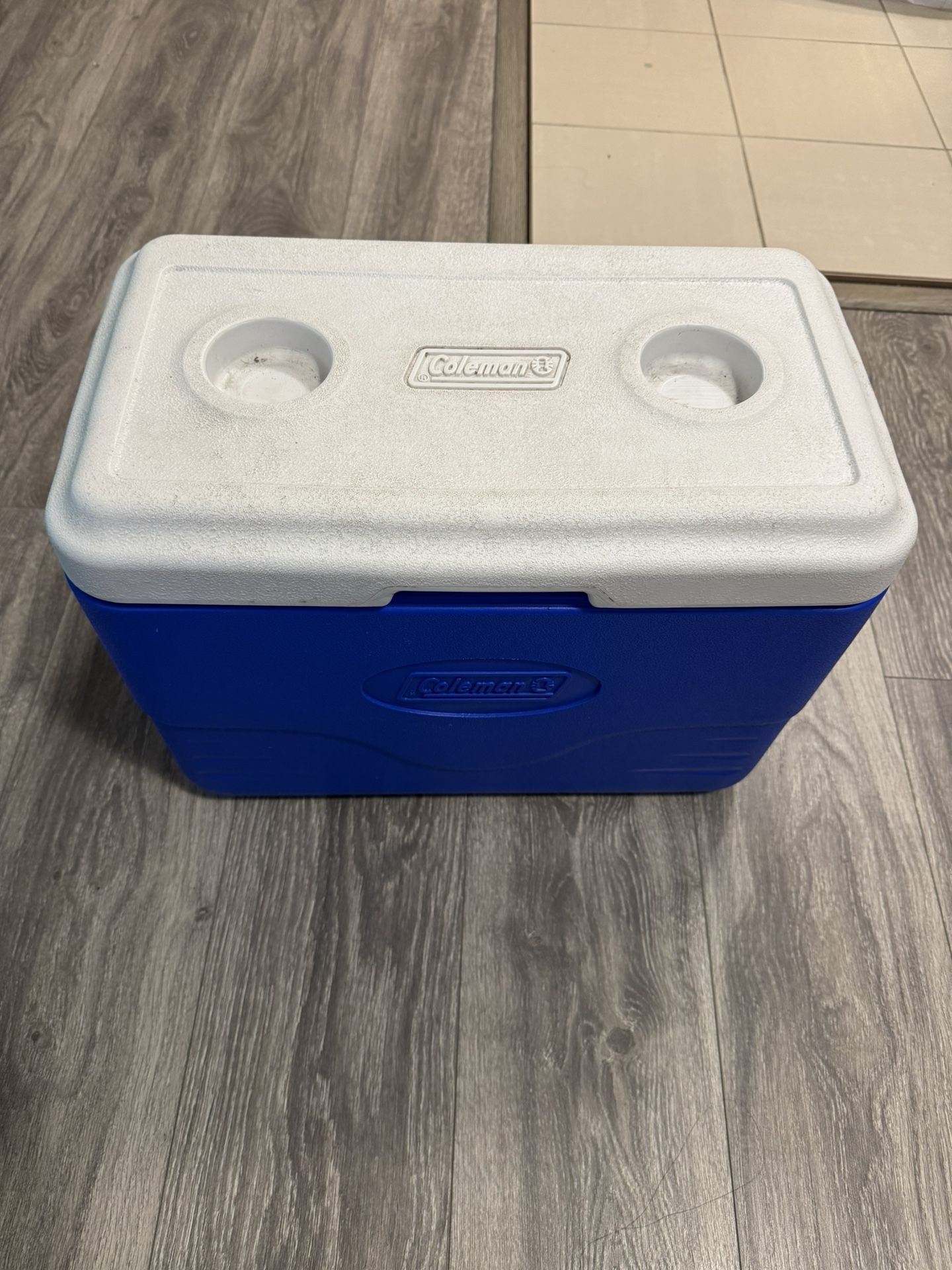 Blue Coleman Cooler