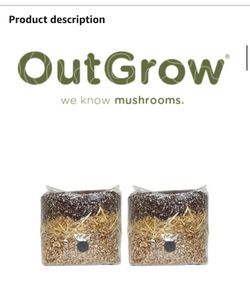 All in One Mushroom Grow Bag (2 Pack)