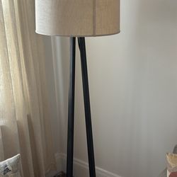 6 Ft lamp
