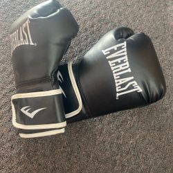 EVERLAST Boxing Gloves 