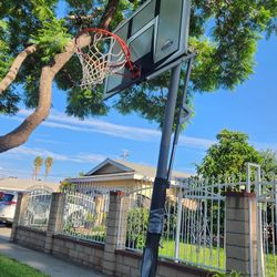 Basquetball Lifetime