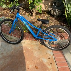 Kid Retrospec Bike