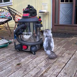 Shop Vac