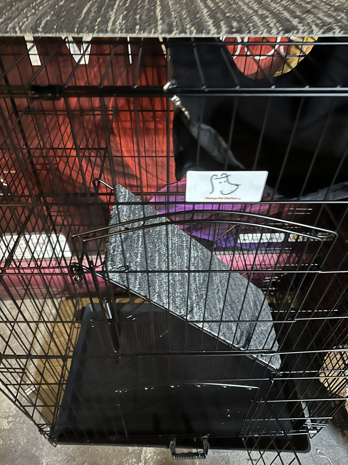 Ferret Or Critter Cage