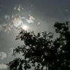 Chefrey_m