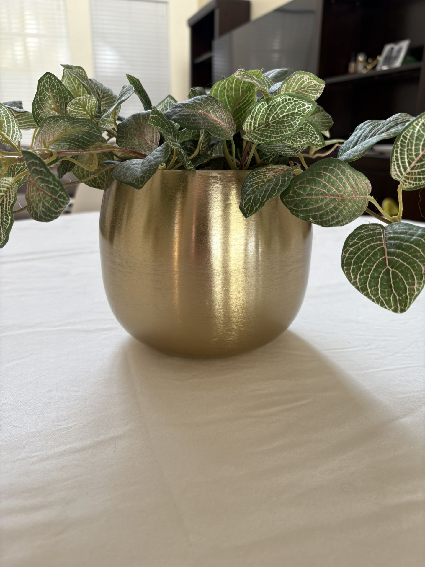 Fake Plant And Holder
