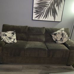 Sofa/couch.   Grayish/greenish.    Very Clean