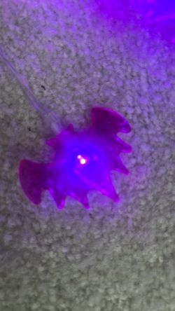 Purple LED Light-Up Bat Decoration Halloween