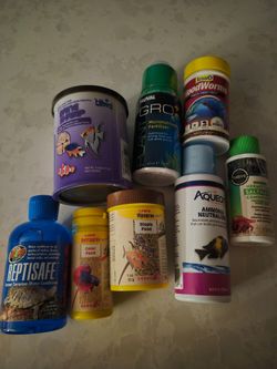 Fish supply