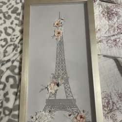 Framed Picture