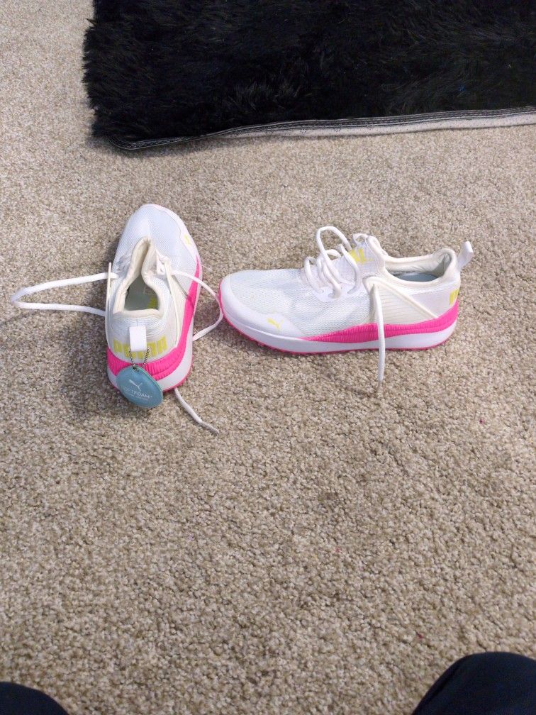 White And Pink Puma