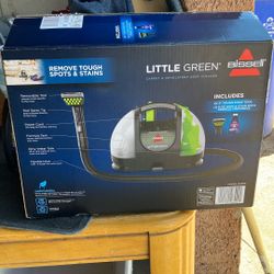 Little Green Bissel