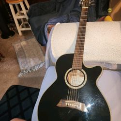 Takamine Guitar