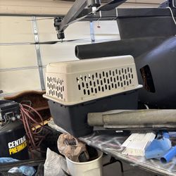 Dog Kennel 