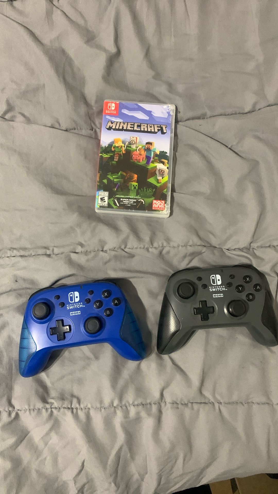 Nintendo Controllers And Minecraft In Case