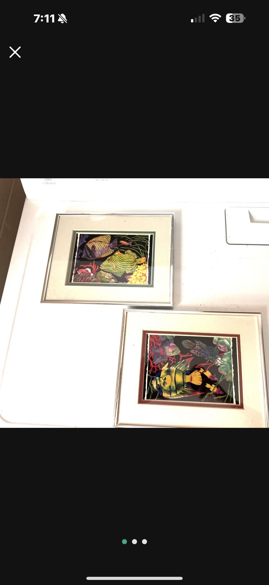 Pair of two glass frame nautical fish pictures