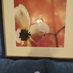 BEAUTIFUL WORK OF ART BY SOHO  ART