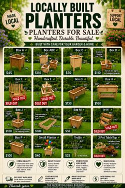 Garden Boxes