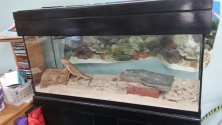75 Gal Aquarium Setup