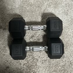 Dumbbells 20lb