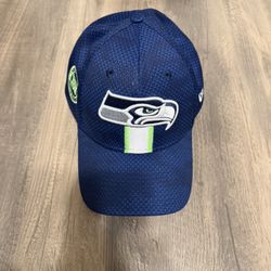 Seahawks Flex Fit Hat.  