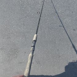 Fishing Rod