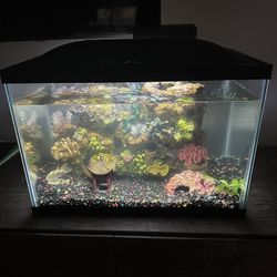 20 Gallon Marina Fish Tank 