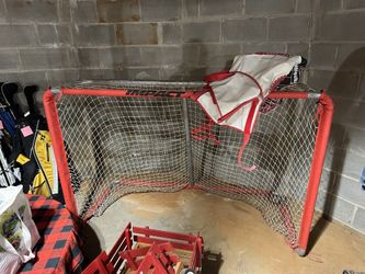 Professional Hockey net