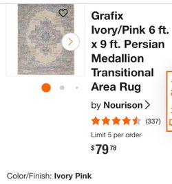  Persian Medallion Transitional Area Rug