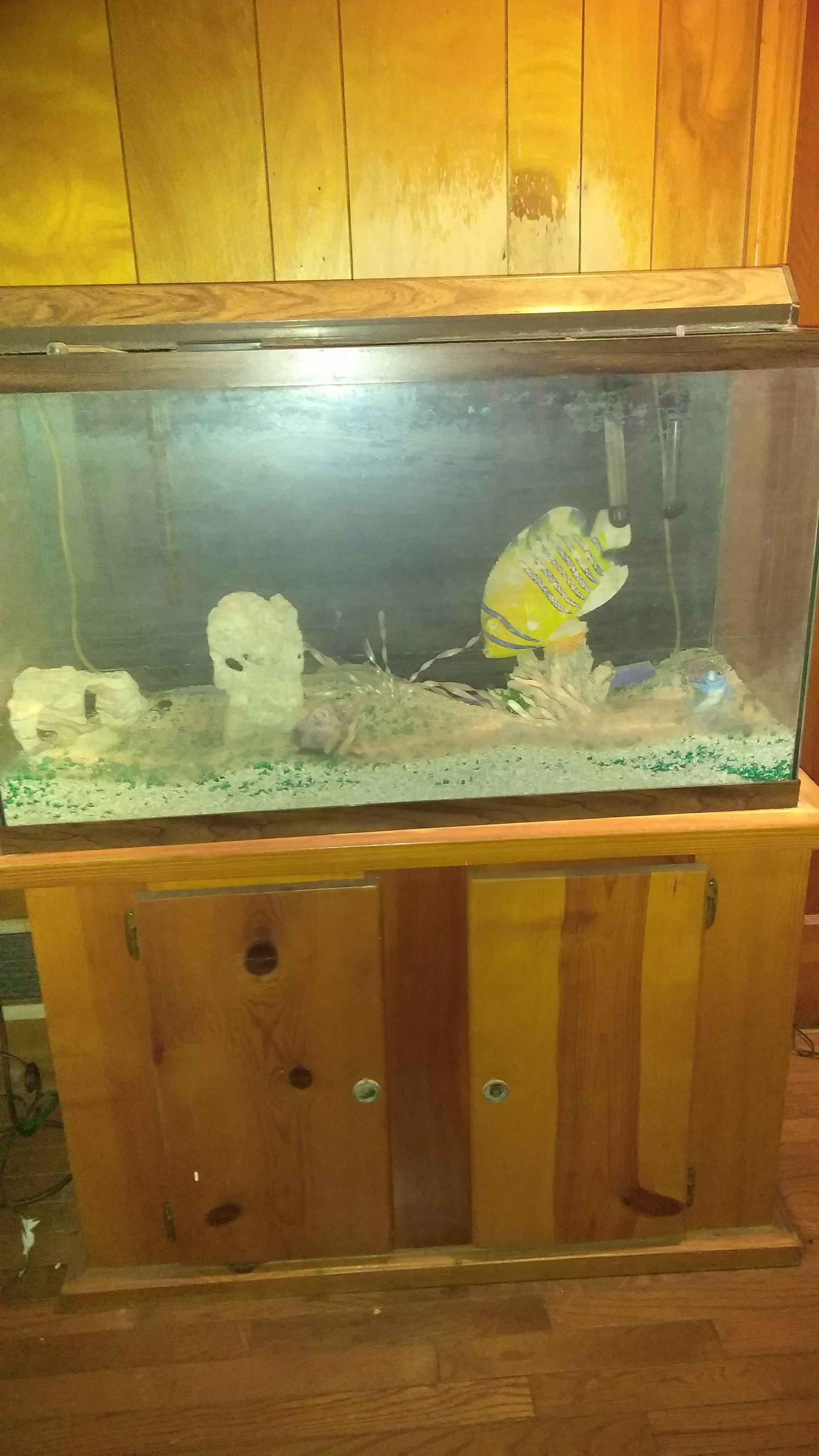 Fish tank